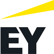 EY S2P/P2P Implementation Services